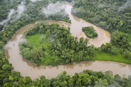 Tiputini River and rainforest, Yasuni National Park, Amazon, Ecuador.