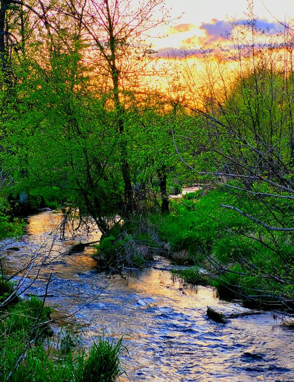 Small tributary stream during an evening sunset thumbnail