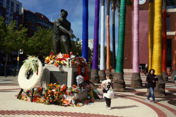 The flower memorial honoring Willie Mays' passing---at his statue in front of Oracle Park baseball stadium. Camera: Sony A6000. thumbnail