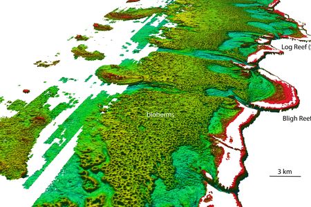 LiDAR imaging of the bioherms beyond the Great Barrier Reef, which is marked in red.