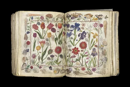 The Große Stammbuch contains 100 illustrations dated to between 1596 and 1647. This two-page spread depicts flowers, insects and shells. 
