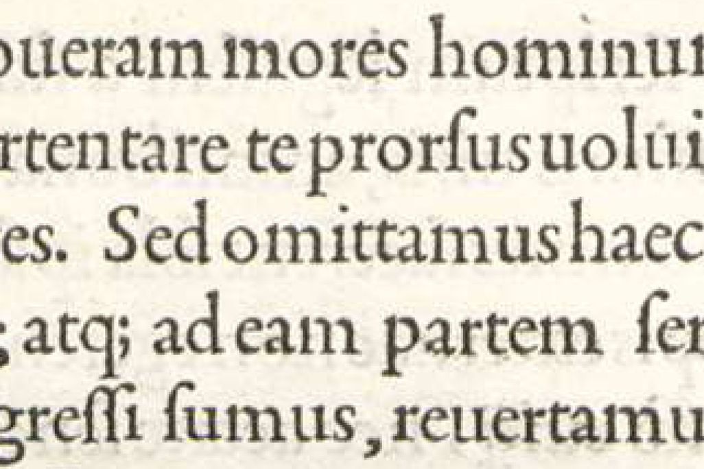 words on a page with one semicolon used toward the bottom left