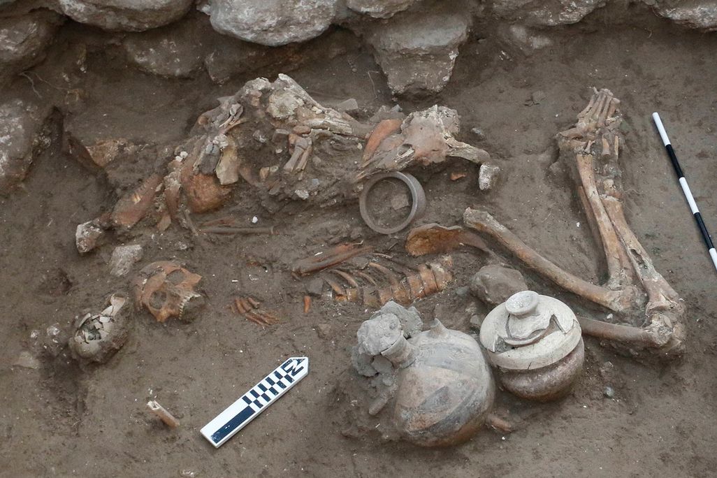 Remains In Israel