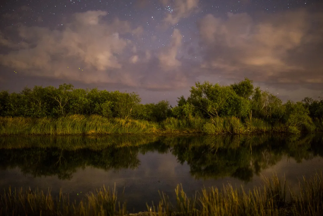 The Everglades