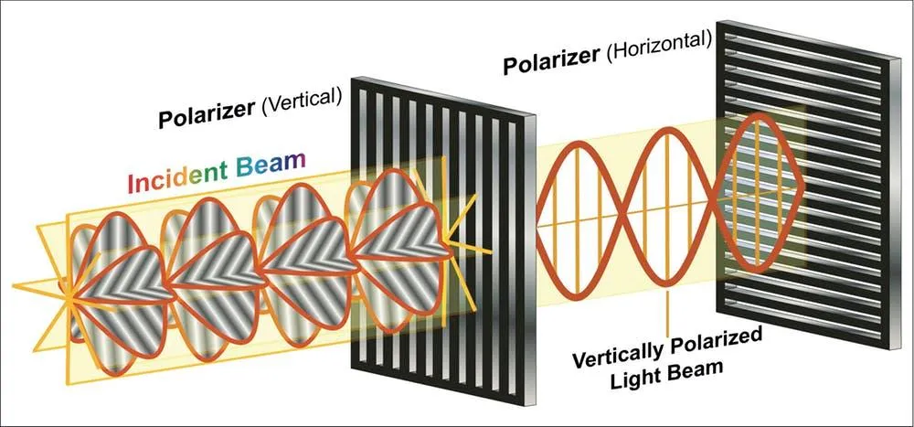 A polarizing filter can block all the light waves that don’t match its orientation.