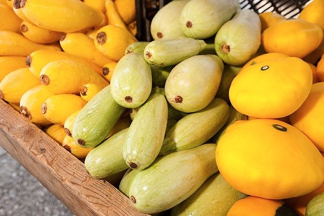 Yellow squash piled in a wooden box outside.