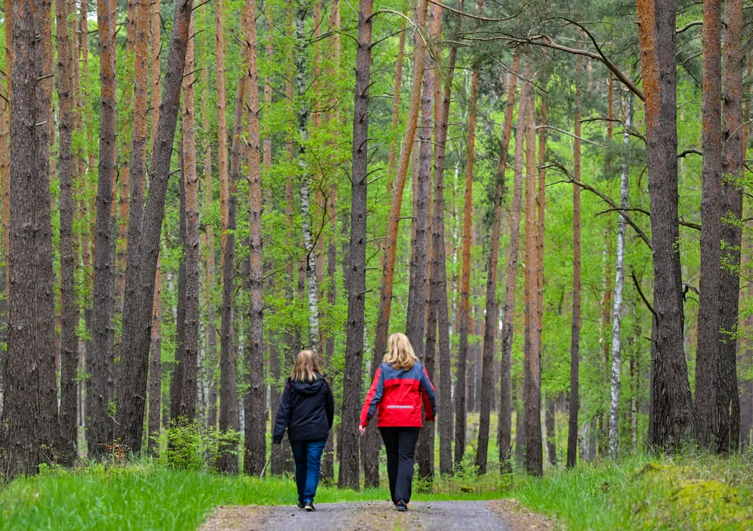 the backs of two women walking through a green forest