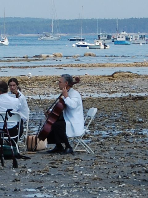 The Sand Bar cellist of Bar harbor, Maine. thumbnail