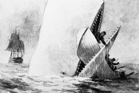 Maybe the white whale just wanted a hyphen.