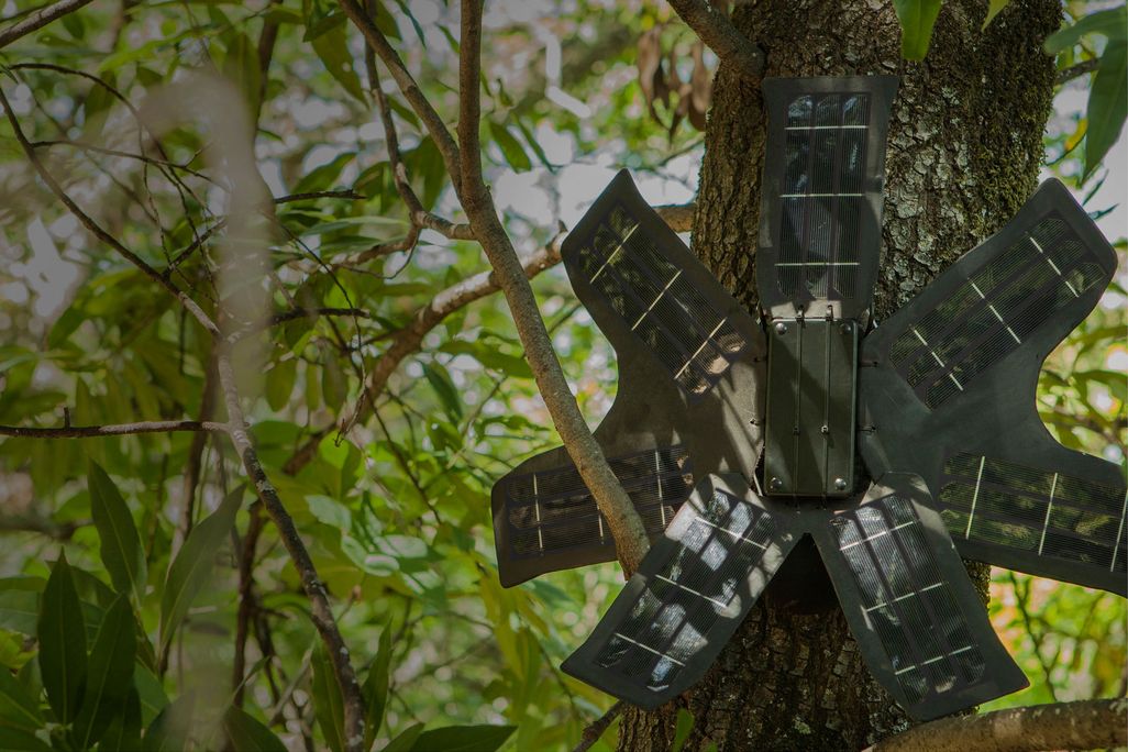 Phone Solar Petal 2