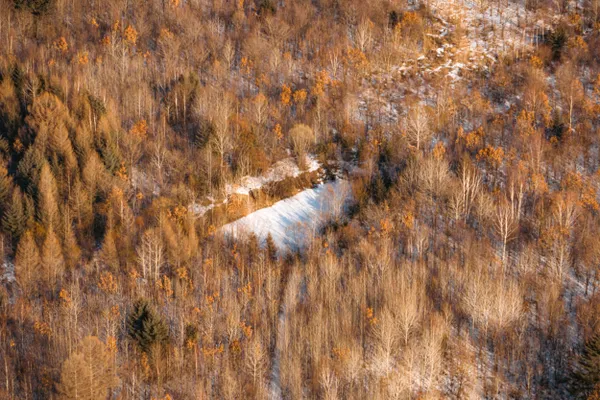 Frozen Pond in a Winter Forest thumbnail