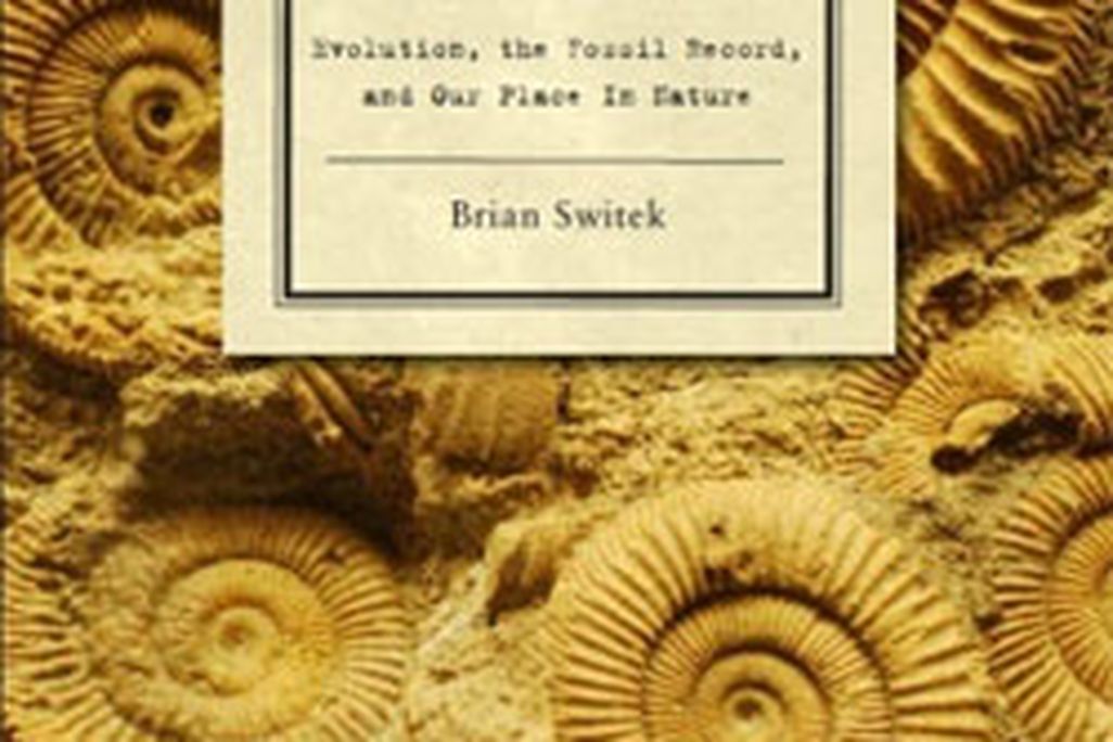 20110520102420Written_in_stone.jpg