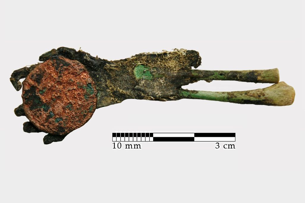 Mummified Hand