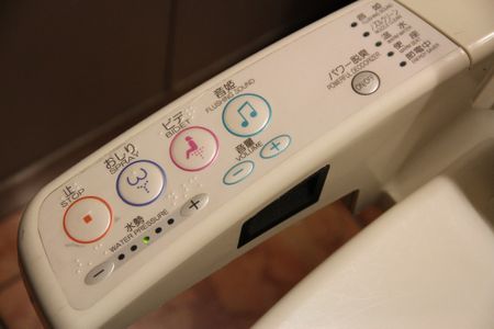 This Japanese toilet takes flushing to another level.
