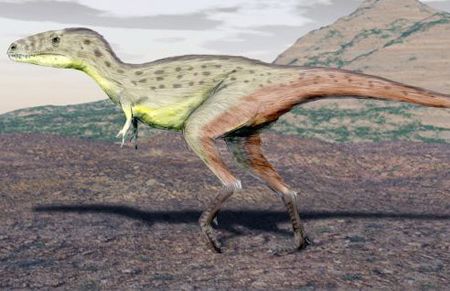 A restoration of Raptorex by Nobu Tamura