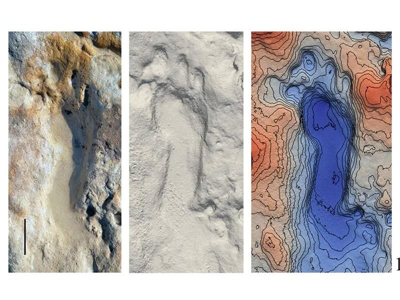 Fossilized Neanderthal footprint