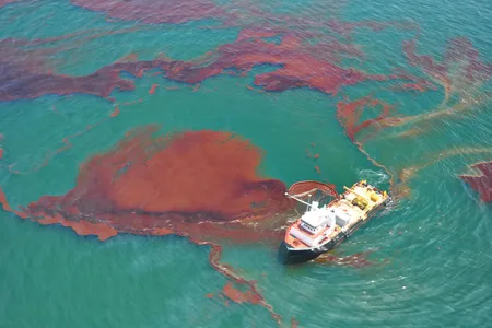 Skimming Oil in the Gulf of Mexico