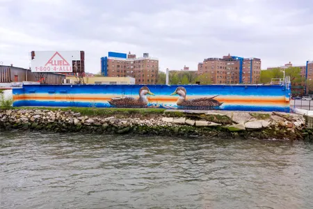 American Black Duck by Peter Daverington at Halletts Point, Queens, is one of nearly 100 murals that make up the Audubon Mural Project. 