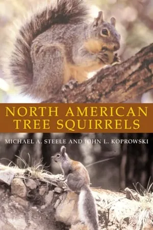 Preview thumbnail for 'North American Tree Squirrels