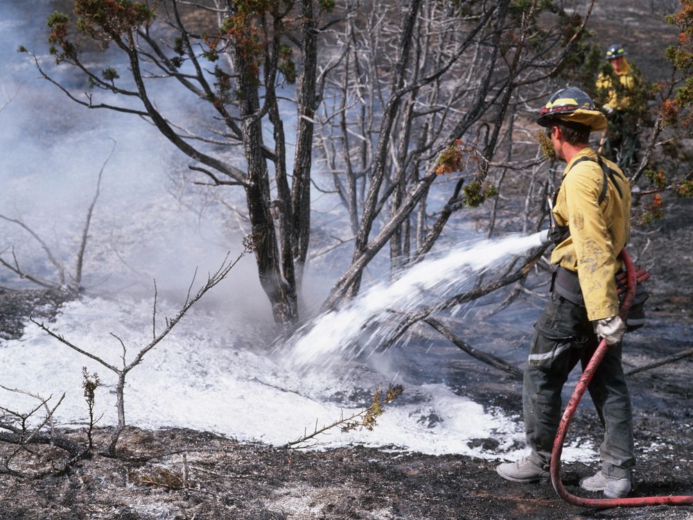 A firefighter sprays a wildfire with foam.