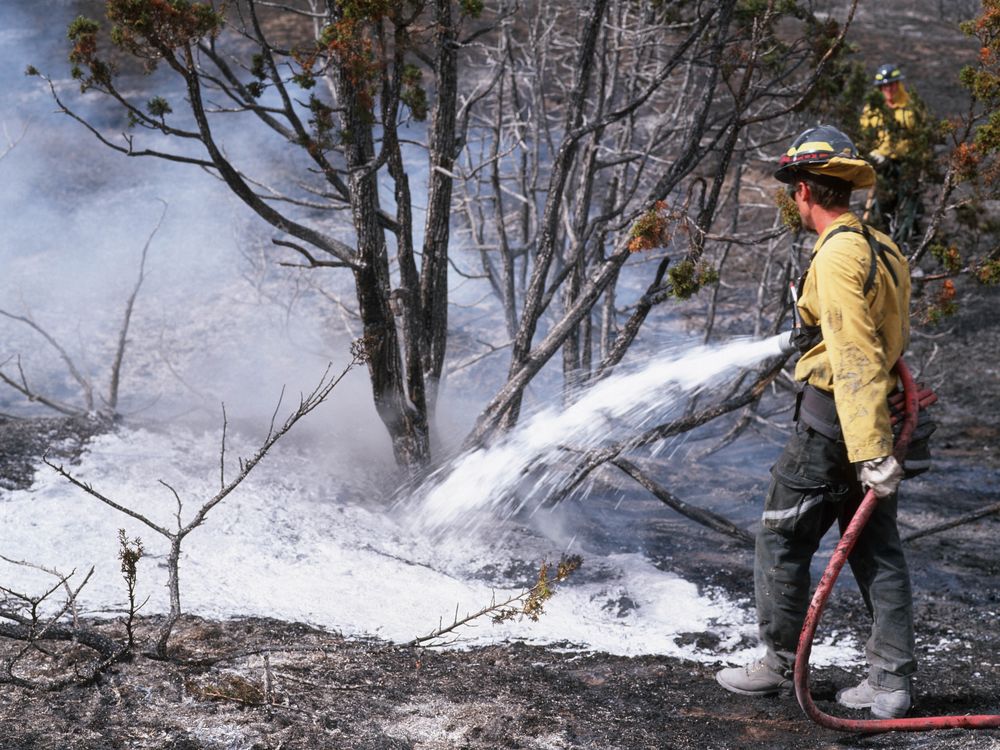 Copy of The EPA is proposing that 'forever chemicals' be