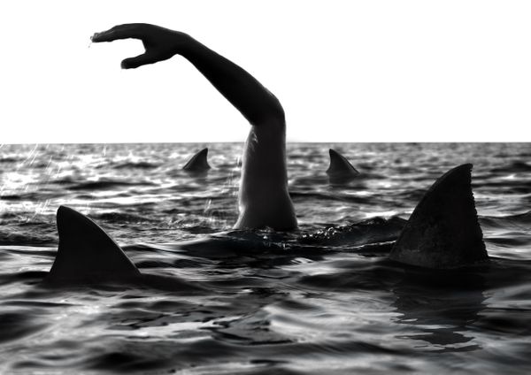 Death or life? thumbnail