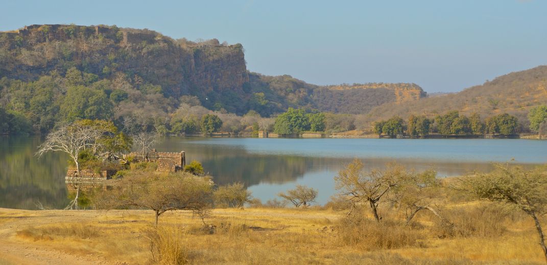 Ranthambore National Park
