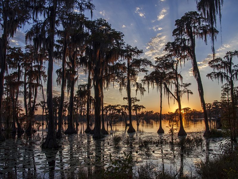 Sunset on the Banks Lake in Georgia | Smithsonian Photo Contest ...