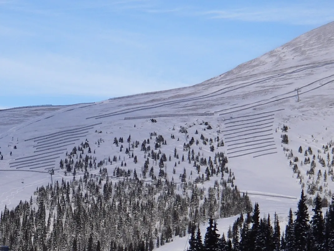 This Canadian Ski Area Doesn't Make Snow—It Farms It