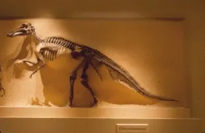 20110520083136edmontosaurus-national-museum-natural-history-300x195.jpg