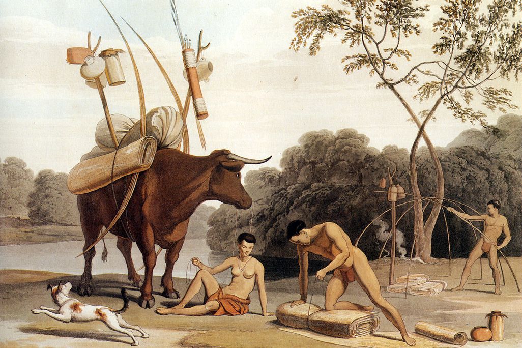 African Pastoralists