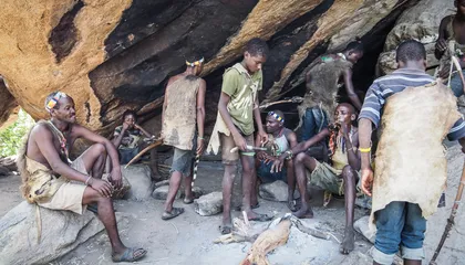 Did Industrialization Gut Our Microbiomes? A New Study on Rural Foraging Communities in South America and Africa Hints the Answer Is Yes
