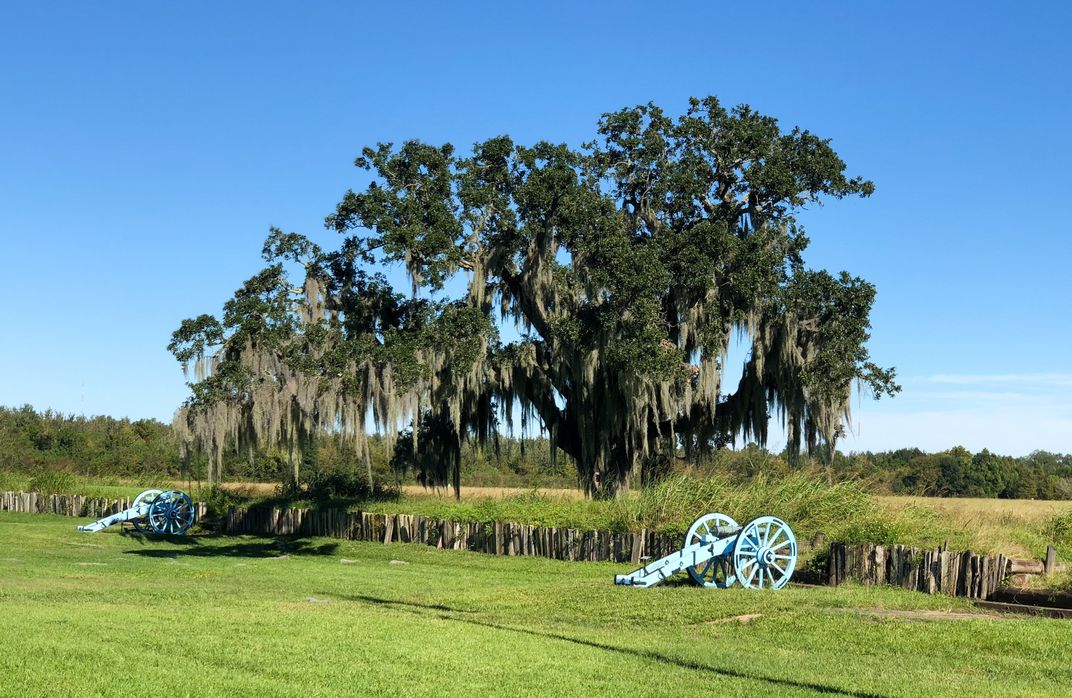 Scene at Chalmette Battlefield