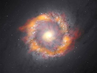 An image of the galaxy NGC 1097, home to the black hole researchers just weighed