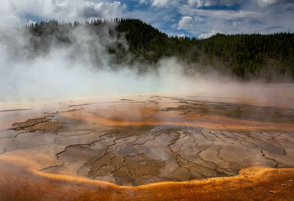 How a Microbe From Yellowstone’s Hot Springs Could Help Feed the World