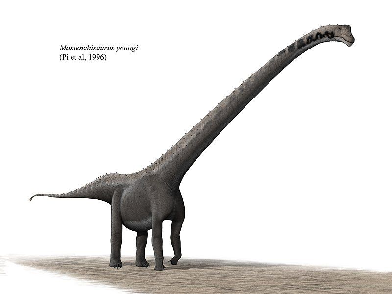 Mamenchisaurus