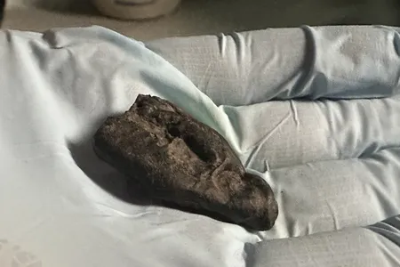 The birch bark tar is covered in tooth marks and contains traces of saliva.