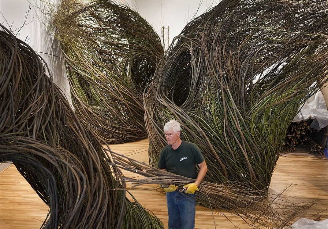 Shindig by Patrick Dougherty, 2015