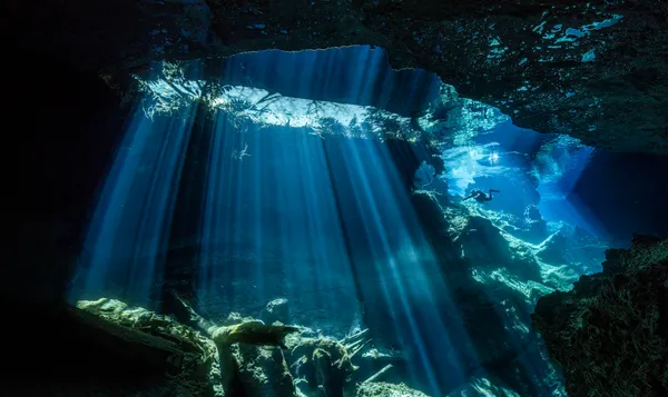 A diver swims through crystal clear waters and stunning light beams beneath the jungle above. thumbnail