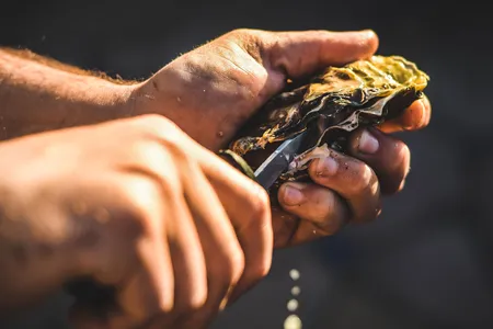 As the North Carolina farmed oyster industry grows, advocates hope to fuel consumer demand and build the industry&rsquo;s profile with a tourism &ldquo;trail.&rdquo;