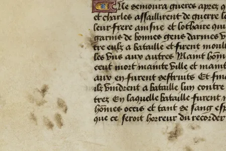 Inky paw prints on a 15th-century Flemish manuscript