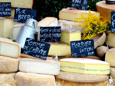 Fungi and bacteria play a big part in shaping the flavor and texture of cheese.