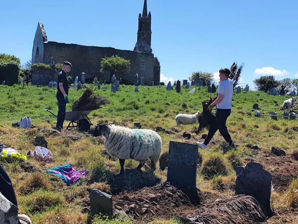 sheep graveyard