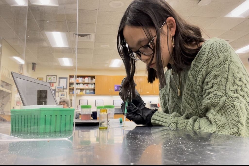 Angie Fogarty in the lab