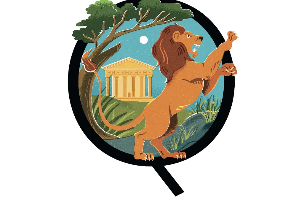 Lion illo