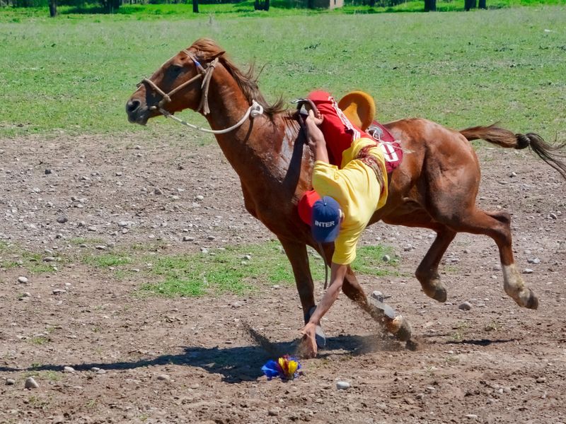 Horseman game | Smithsonian Photo Contest | Smithsonian Magazine