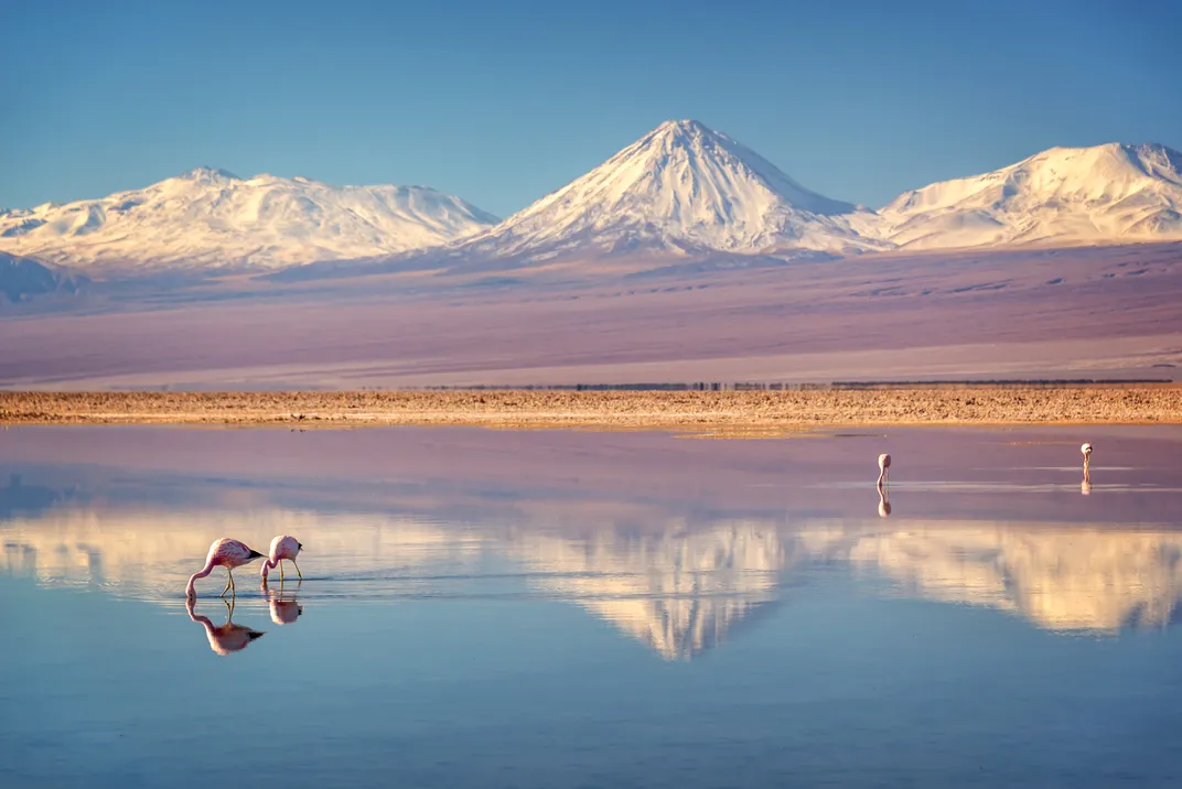 Landscape of Licancabur Volcano, the Andes, and flamingos, Atacama