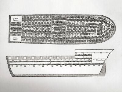 An 18th-century engraving depicting cross sections of a ship used to transport enslaved people from Africa to the Americas and the Caribbean
