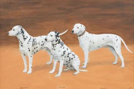 Frances Mabel Hollams, Buster, Shandy and Bluett&mdash;Dalmatians,&nbsp;1936