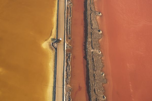 Salt & Color thumbnail